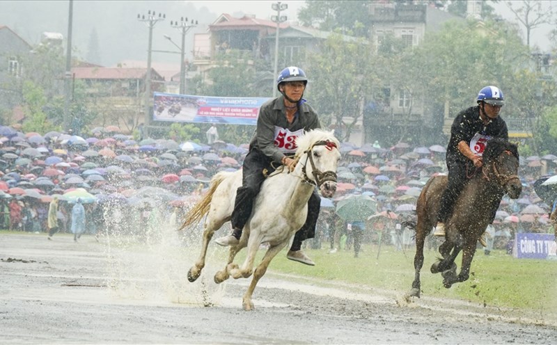 kinh nghiem choi ca cuoc dua ngua vinbet