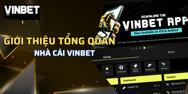 gioi thieu tong quan ve nha cai vinbet