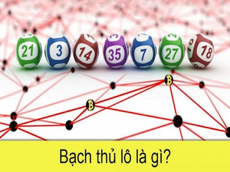 Soi Cầu Bạch Thủ Lô Tại Vinbet