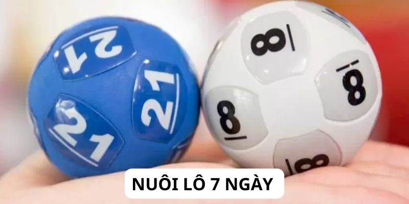 Nuôi Lô Khung 7 Ngày Tại Vinbet: Bí Quyết Gia Tăng Tỷ Lệ Thắng