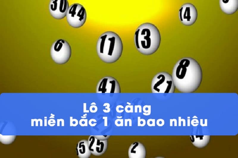 Lô 3 Càng Tại Vinbet: Cách Chơi Chi Tiết Và Hiệu Quả