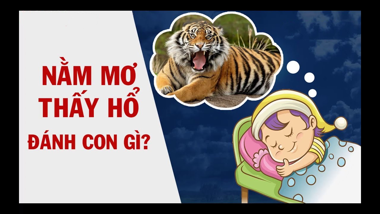 mơ thấy hổ